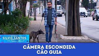 Cão Guia  Câmeras Escondidas - com Ítalo Sena 300624