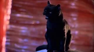 The Best Of Salem Sabrina The Teenage Witch