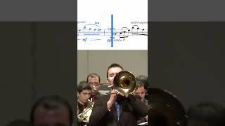 When the Cadenza Makes You Go from 0 to 100 in 3 Sec  Ricardo Mollá performs Fantasia Concertante