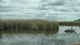 The Norfolk Broads Beyond Potter Heigham