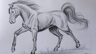 How to draw a Horse step by step  Pencil Shading Drawing