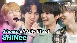 LIVE  Watch all recent episodes of SHINee🩵#SHINEE