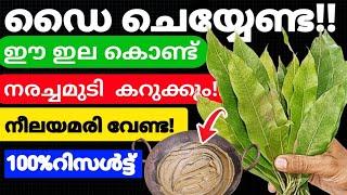 Natural Hair Dyeഡൈ ചെയ്യാതെ ഈ ഇല കൊണ്ട് നരച്ച മുടി കട്ടക്കറുപ്പാകും#trending#hairdye#hairgrowth