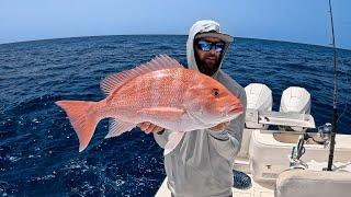 Solo Trip  Commercial Red Snapper Fishing  Profit Breakdown