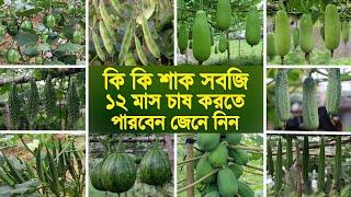 কি কি সবজি ১২ মাস চাষ করা যায় জেনে নিন  সারা বছর চাষ করা যায় এমন ১০ টি সবজির নাম জানুন  Vegetables