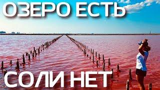 Розовое озеро. Когда и куда приезжать? САСЫК СИВАШ в Крыму БЕЗ ФИЛЬТРОВ КАК ЕСТЬ. Крым сегодня 2021