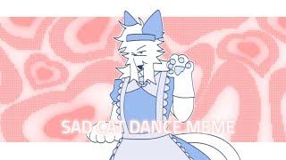 Sad cat dance  animation meme  Phighting  catshot