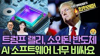 트럼프 랠리 소외된 반도체.  AI 소프트웨어 너무 비싸요