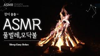 4k Campfire Crackling Fire & Sleep and Relaxation Nature Sounds Crickets Autumn Night Ambience