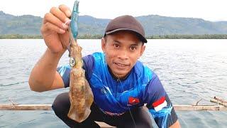 Pakai Warna Squid Jig Ini  Mancing Cumi Waktu Sore-Angler Cumi