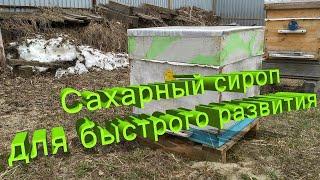 Профессор Кашковский Давать сахарный сироп весной для быстрого развития?