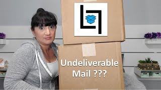 LOST LOOTS Undeliverable Mail Mystery Boxes  Have I Been Scammed Again?