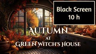 10 h BLACK SCREEN Autumn at Green Witchs House Ambience and Music  fantasy cozy fall #witchcore