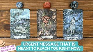 Urgent Message That is Meant to Reach You Right Now  Timeless Reading