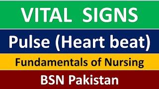 Vital signs  Pulse Measurement  Fundamentals of Nursing  Chapter 05 part 2  BSN Lectures