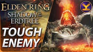 Elden Ring DLC - Tough Enemy - Magma Wyrm - Dragons Pit - Shadow of the Erdtree