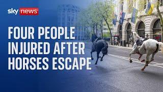 Four people injured after military horses escape in London