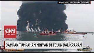 Dampak Tumpahan Minyak di Teluk Balikpapan