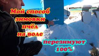 КАК ОРГАНИЗОВАТЬ ЗИМОВКУ ПЧЁЛ НА ВОЛЕ МОЙ ПРАКТИЧЕСКИЙ МЕТОД