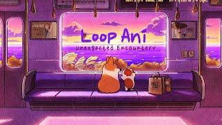 An Unexpected Encounter - Animation loop animation Doggie Corgi