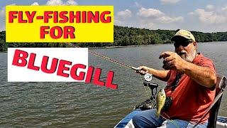 FLY-FISHING FOR BLUEGILL