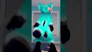 #twerk #furry #twerktwerktwerk