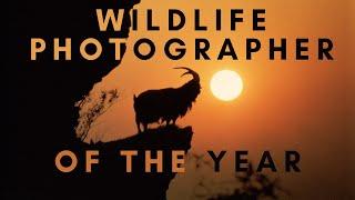 Best Wildlife Photos - Photographer of the Year
