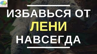 Нет Оправданий Сила Самодисциплины - Брайан Трейси  Обзор Книги  Как избавиться от ЛЕНИ?