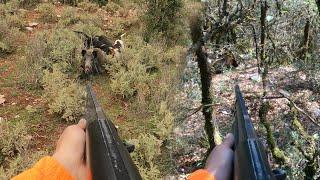 Wild boar hunting - shoot in the den and finish the wounded