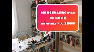 MERCEKLER  KALIN VE İNCE KENARLI  7. SINIF