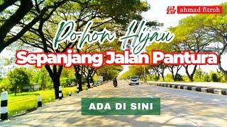 FULL ADA DISINI  POHON HIJAU CANTIK  DI SEPANJANG JALAN  #alamindonesia #explore #jawatengah