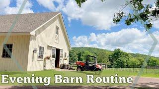 EVENING BARN ROUTINE & Feeding the Horses • SPRING 2024 Routine & Barn Chores  EQUESTRIAN VLOG