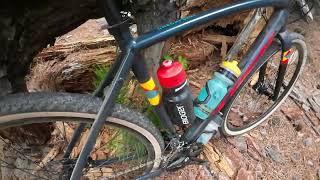 TREK CHECKPOINT ALR 5 FOREST REVIEW