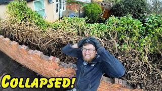 The Hedge We Cut Back Collapsed Across Their Garden