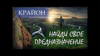 КрайонКогда работа только заработокПуть СердцаКак найти свое Предназначение @awakening_energies