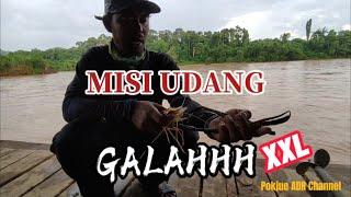 Memburu UDANG GALAH BERSAIZ MEGA   #udanggalah#memancingudanggalah