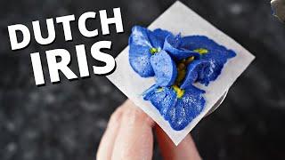 How to pipe dutch iris  Cake Decorating For Beginners 