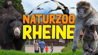 NaturZoo Rheine  Zoo-Eindruck