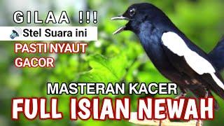 GILA ⁉️ - MASTERAN KACER GACOR FULL ISIAN  - Suara Burung Kacer yang cocok untuk Latihan ‼️