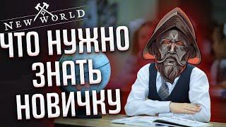 Всё что нужно знать от покупки до эндгейм контента в New World