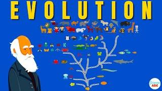 Darwins theory of Evolution A REALLY SIMPLE and Brief Explanation