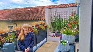 Planting Up First Summer Planters & Getting This Sunny Balcony Ready For Summer