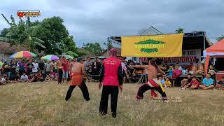 Kesenian TIBAN  Jaranan MAHARDIKA BUDAYA LIVE Desa Winong Kedungwaru Tulungagung