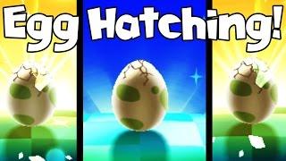 Pokemon Sun Egglocke - EGG HATCHING