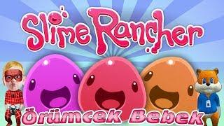 Örümcek Bebek ve Sincap Slime Rancher Oynuyor Örümcek Bebeğin Videoları