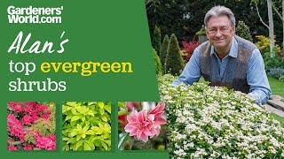 Five evergreen shrubs  Alan Titchmarsh