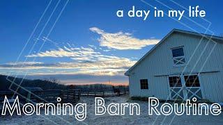 MORNING BARN ROUTINE Feeding the Horses & Lunging Z  January 2024 • Barn Chores & EQUESTRIAN VLOG