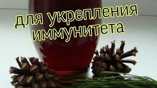 Хвоя для укрепления иммунитета