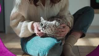 Реклама Whiskas  Жизнь замурррчательна 