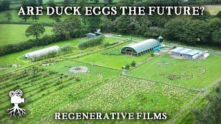 Regenerative Farm Combines Ducks and Blueberries  Parc Carreg Duck Eggs Wales